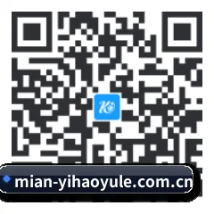 系统版 iOS 二维码